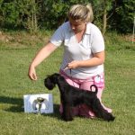 bis_puppy_20170625_2034656783