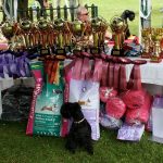 dobro_uvane_nagrade__20170625_2047876207