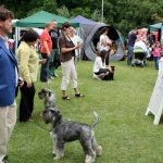 guzva_oko_ringa__20170625_1739728183