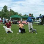 junior_handling_20170625_1187325980