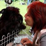 ljubav_preko_ogradega_eva_bruspersky__uriel__20170625_1618380619