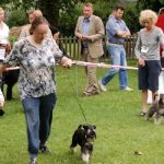 predsjedne_skoknije_mogue_da_ste_stigli_pratiti_specijalku__20170625_1642567944