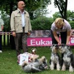 veteranka_nije_ozbiljno_shvatila_postolje__20170625_1477399324